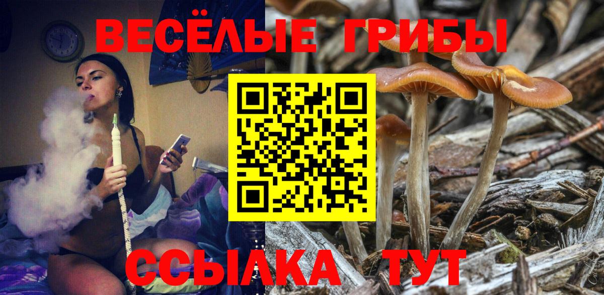 Галлюциногенные грибы Magic Shrooms  Вход с VPN  Фурманов 