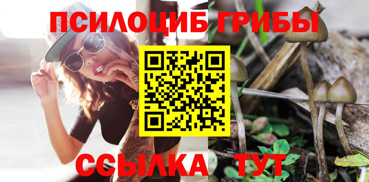 Псилоцибиновые грибы Psilocybine cubensis Фурманов